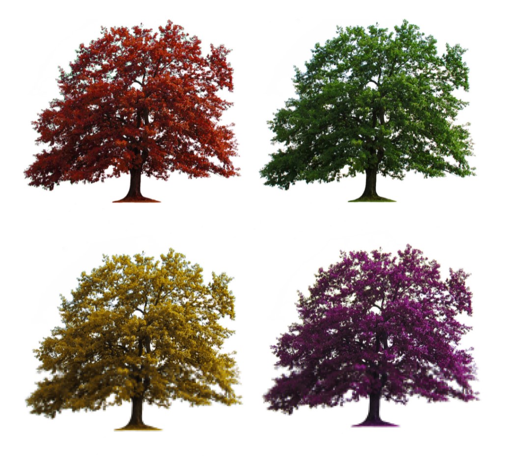 Seasonal HVAC Repair Delaware Heating and Air